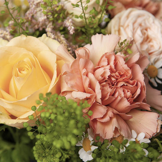Floral Tenderness 3