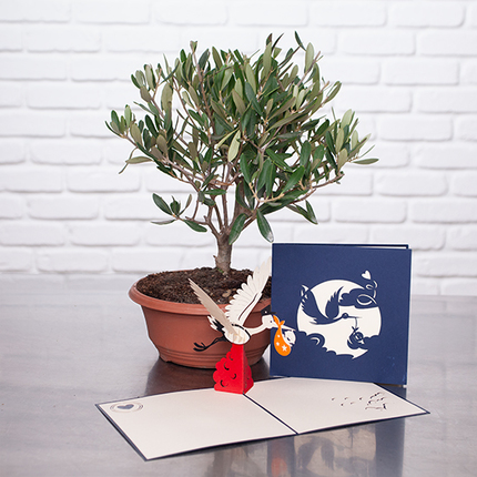 L'Olivier  et Carte 3D cygogne bleue