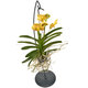 Yellow Orchid Vanda