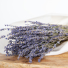 Dried lavender