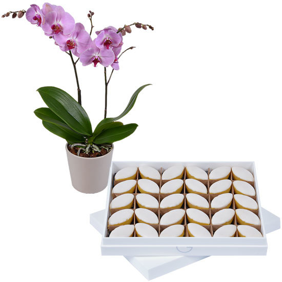 Les calissons d'Aix et une orchidée