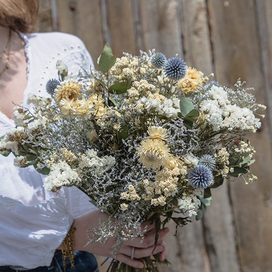 Bouquet Cap de Creus 2