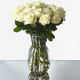 Magnificent white roses 3