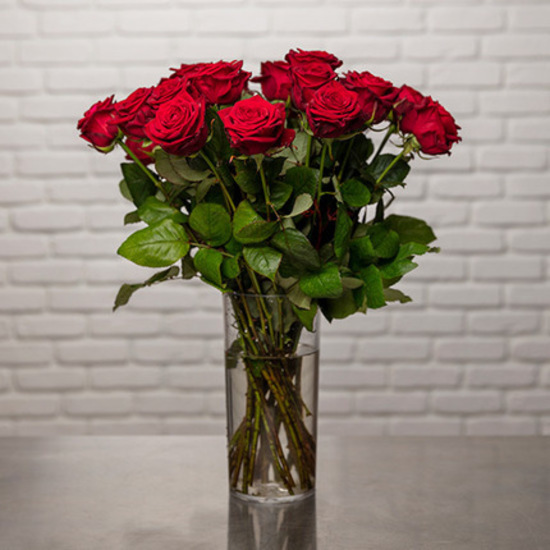 Magnificent Red Roses 3