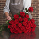 Majestueuses Roses Rouges