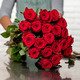 Magnificent Red Roses