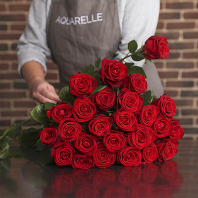 Majestueuses Roses Rouges