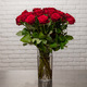 Magnificent Red Roses 3