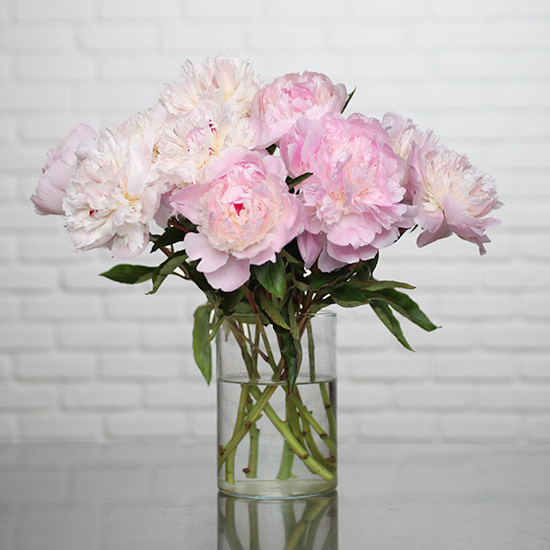 Tender Peony Bunch 2