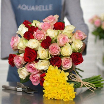 Merveilleuses roses & 20 Jonquilles