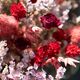 Mi Corazón – Red and Pink Dried Flower Bouquet 2