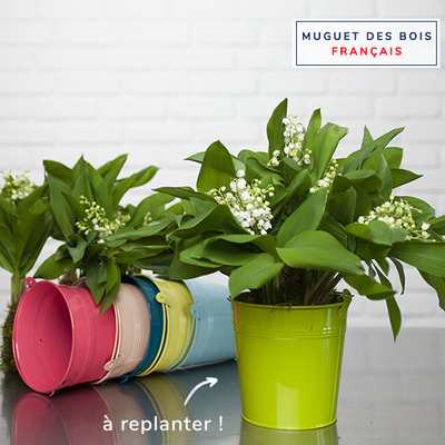 Livraison Muguet 1er mai - Bouquet de muguet | Aquarelle