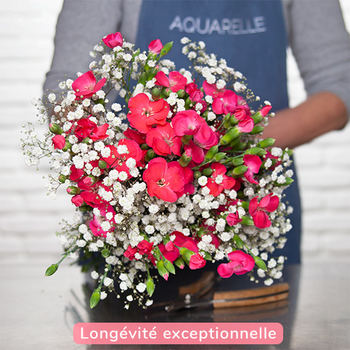 Butterfly Carnations