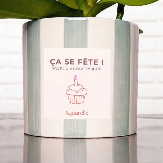 White phalaenopsis with personalised pot holder Happy birthday 2