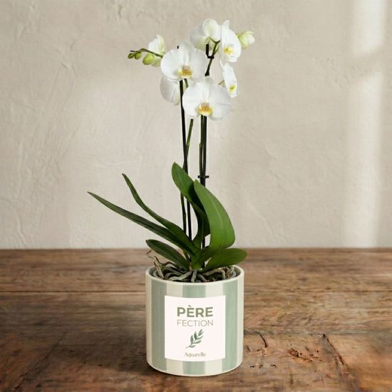 Personalized White Orchid 2