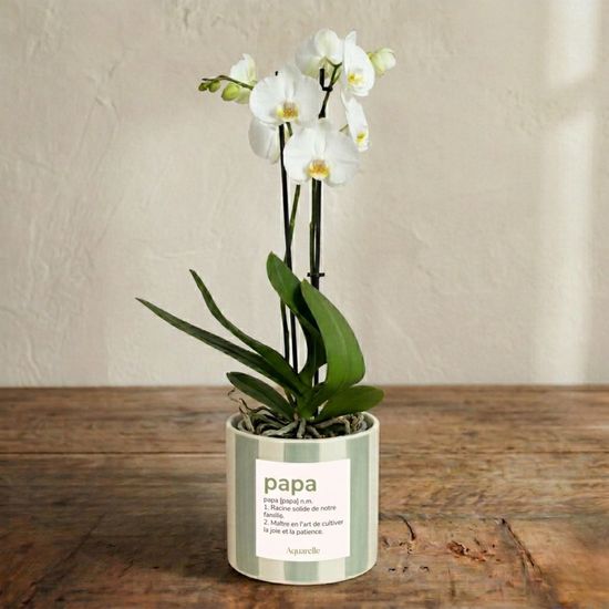 Personalized White Orchid 3