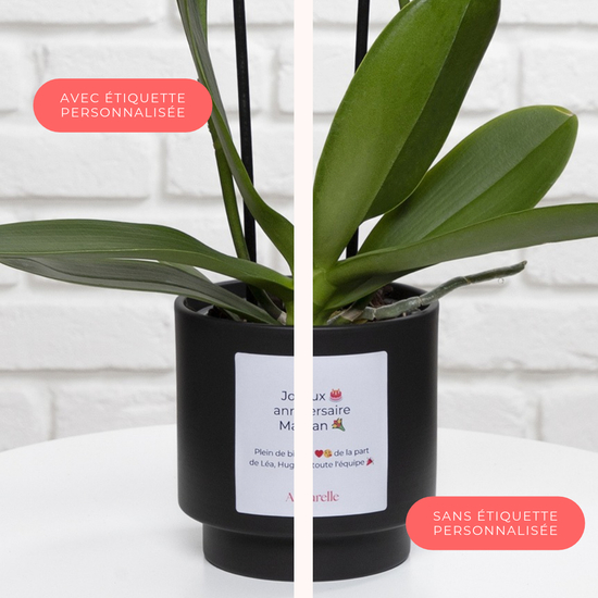 Orchidée blanche personnalisée 3