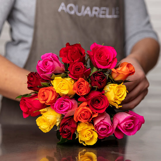 Bouquet de 20 roses Arlequin