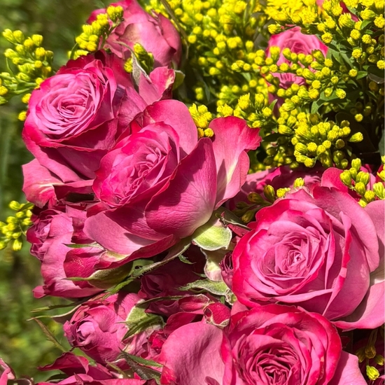 Petit Bouquet Spring Pink Spray Roses & Solidago | Flower Delivery 3