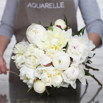 Pivoines blanches d’exception