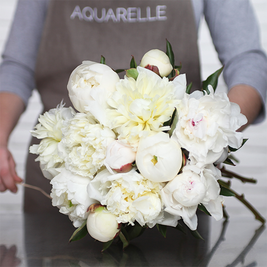 Exceptional White Peonies 
