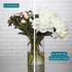 Pivoines blanches d’exception 3