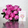 Pivoines parfumées