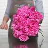 Pivoines parfumées