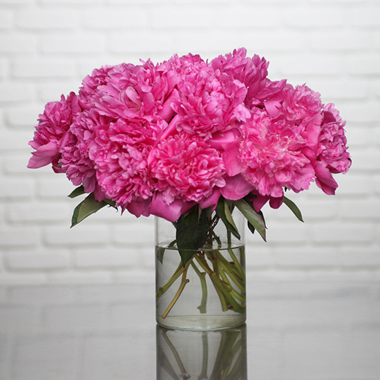 Perfumed Peonies 3