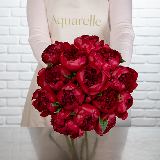 Red Charm Peonies Bouquet