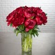 Pivoines Red Charm rouges 3