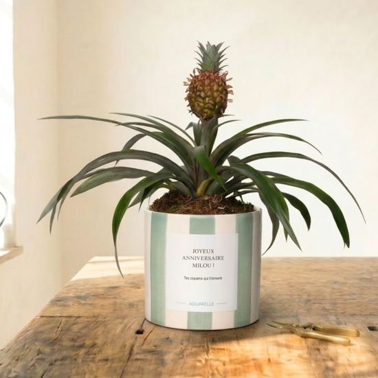 Plante verte tropicale avec ananas décoratif