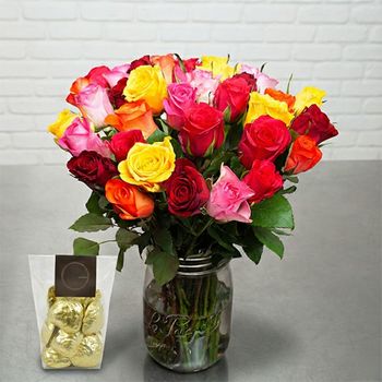 Harlequin Roses Gourmet Chocolates Multicoloured bouquet and praline chocolates