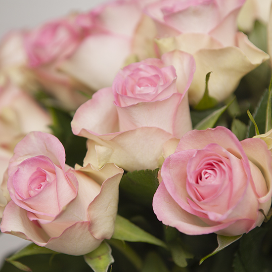 Soyez sûr de faire plaisir à tous les coups avec ce joli bouquet de roses. Des coloris tendres et harmonieux, véritable invitation au romantisme.   2