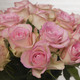 Fleurs - Bouquet de roses multicolores Arlequin 3