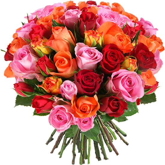 Florilège de couleurs pour ce merveilleux bouquet multicolore de roses jaunes, oranges, rouges et roses.Un bouquet incontournable à offrir en toute occasion !