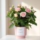 Rosebush