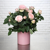 Rosier 'Bonne Fête Maman'