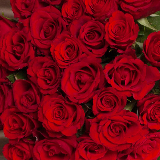 Magnifique brassée de roses rouges ! Un bouquet rouge passion à livrer partout en France. 3