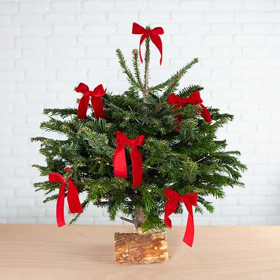 Sapin de Noël Décoré