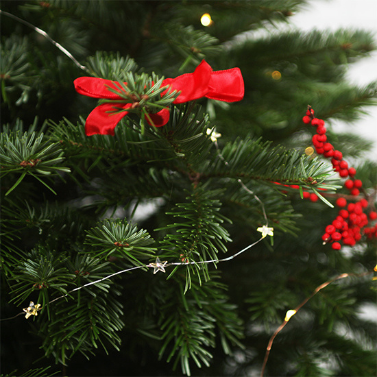 Nordmann Christmas Tree