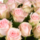 Tall Pastel Roses 2