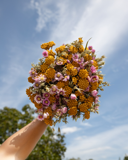 Country Romance 2