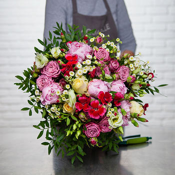 Tendre Pivoines