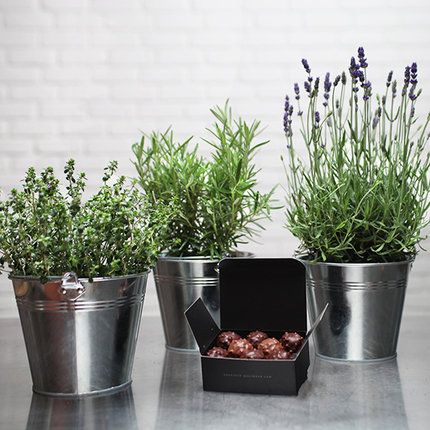 Thyme, Rosemary, et Lavender