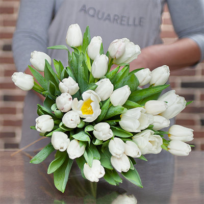 Bouquets of tulips - Tulips home delivery