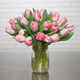 'Foxtrot' tulips