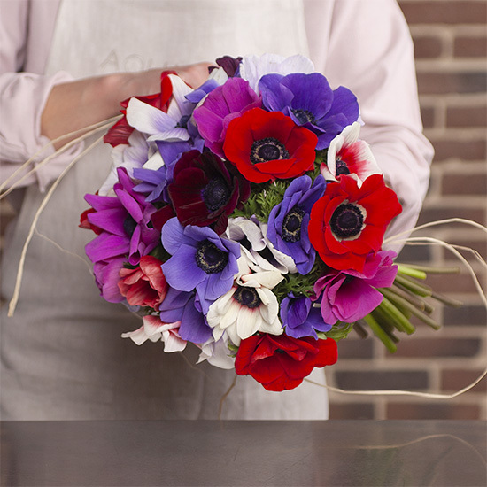 Bouquet d'Anémones Françaises - Fleurs Fraîches en Livraison Rapide