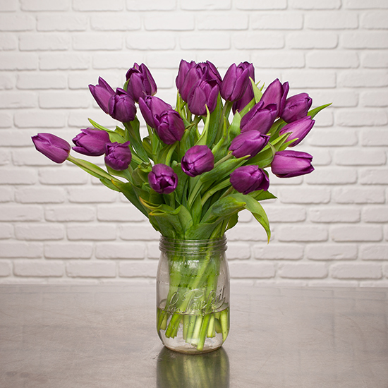 Bouquet of purple tulips 2