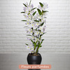 Découvrez une incroyable orchidée, le Dendrobium Nobile. Cette orchidée au parfum sucré sera parfaite pour décorer tous les intérieurs !